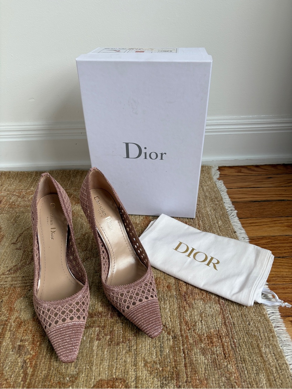 Christian Dior "Wired" Pointed Toe Pumps — Rose Gold & Blush Mesh - NIB - 38.5